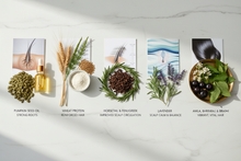 Load image into Gallery viewer, realistic image
